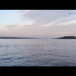 Meet your Posher, Macy